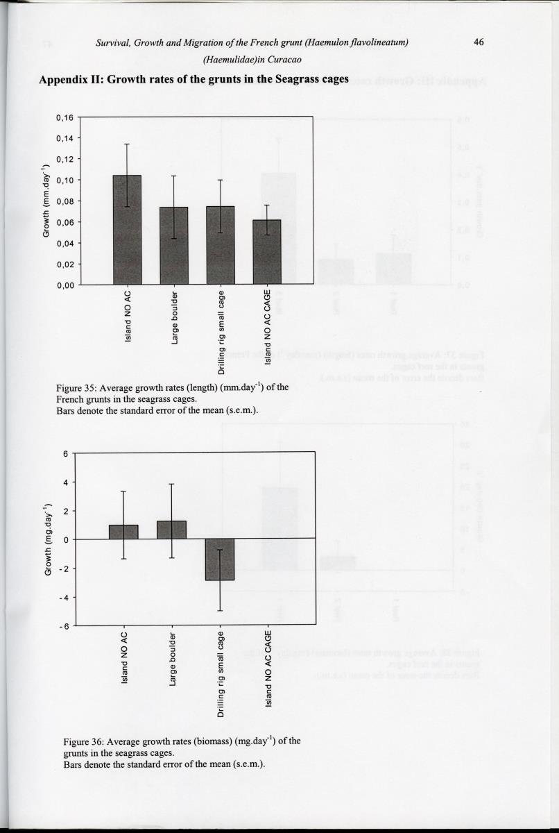 z Survival, Growth and Migration of the French grunt (Haemulon flavolineatum) (Haemulidae) in Curacao - New Page