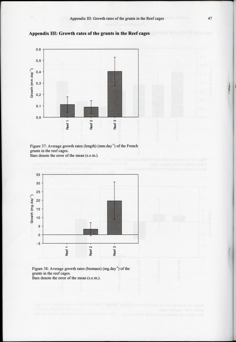 z Survival, Growth and Migration of the French grunt (Haemulon flavolineatum) (Haemulidae) in Curacao - New Page