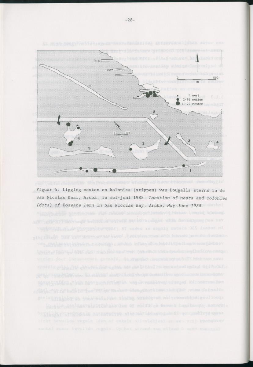 z Bescherming van zeevogels op het Lago-rif, Aruba, in 1988 - New Page