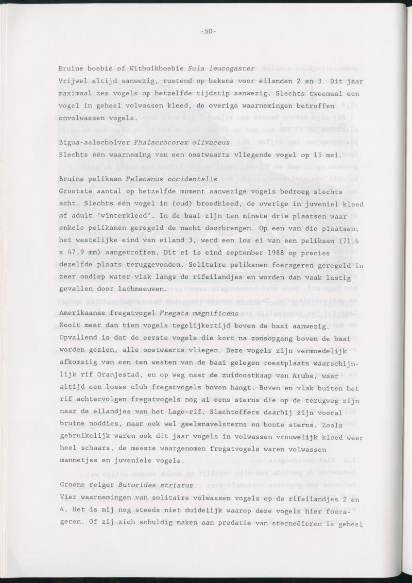 z Bescherming van zeevogels op het Lago-rif, Aruba, in 1988 - New Page