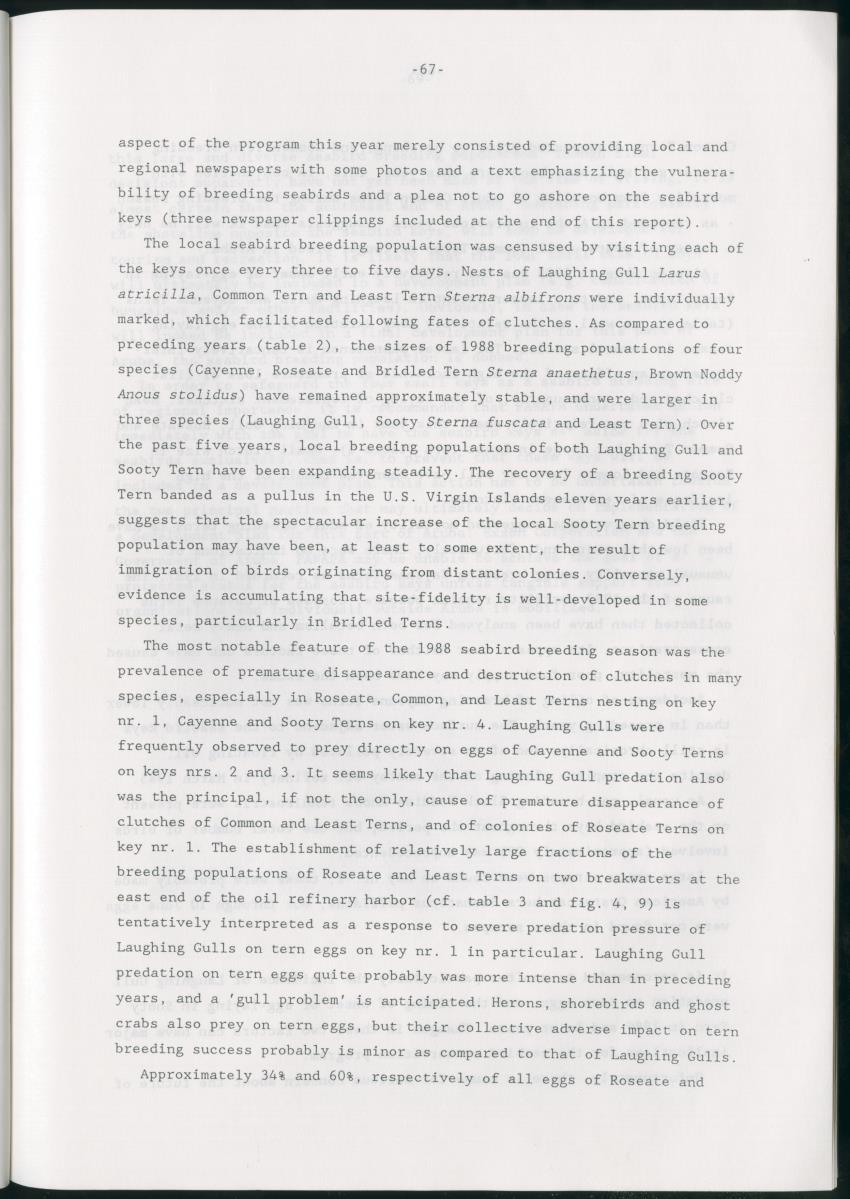 z Bescherming van zeevogels op het Lago-rif, Aruba, in 1988 - New Page