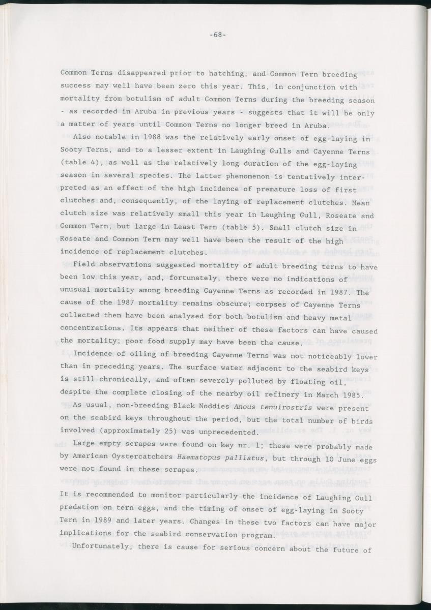 z Bescherming van zeevogels op het Lago-rif, Aruba, in 1988 - New Page