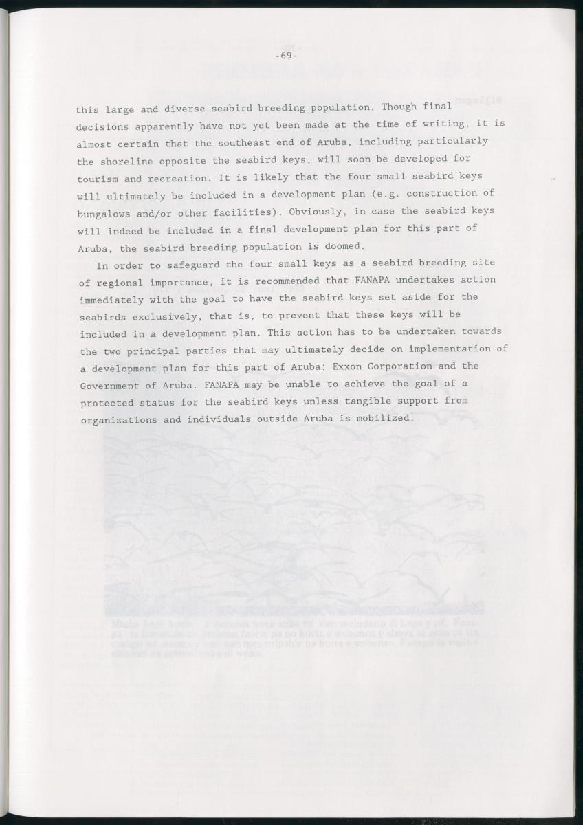 z Bescherming van zeevogels op het Lago-rif, Aruba, in 1988 - New Page