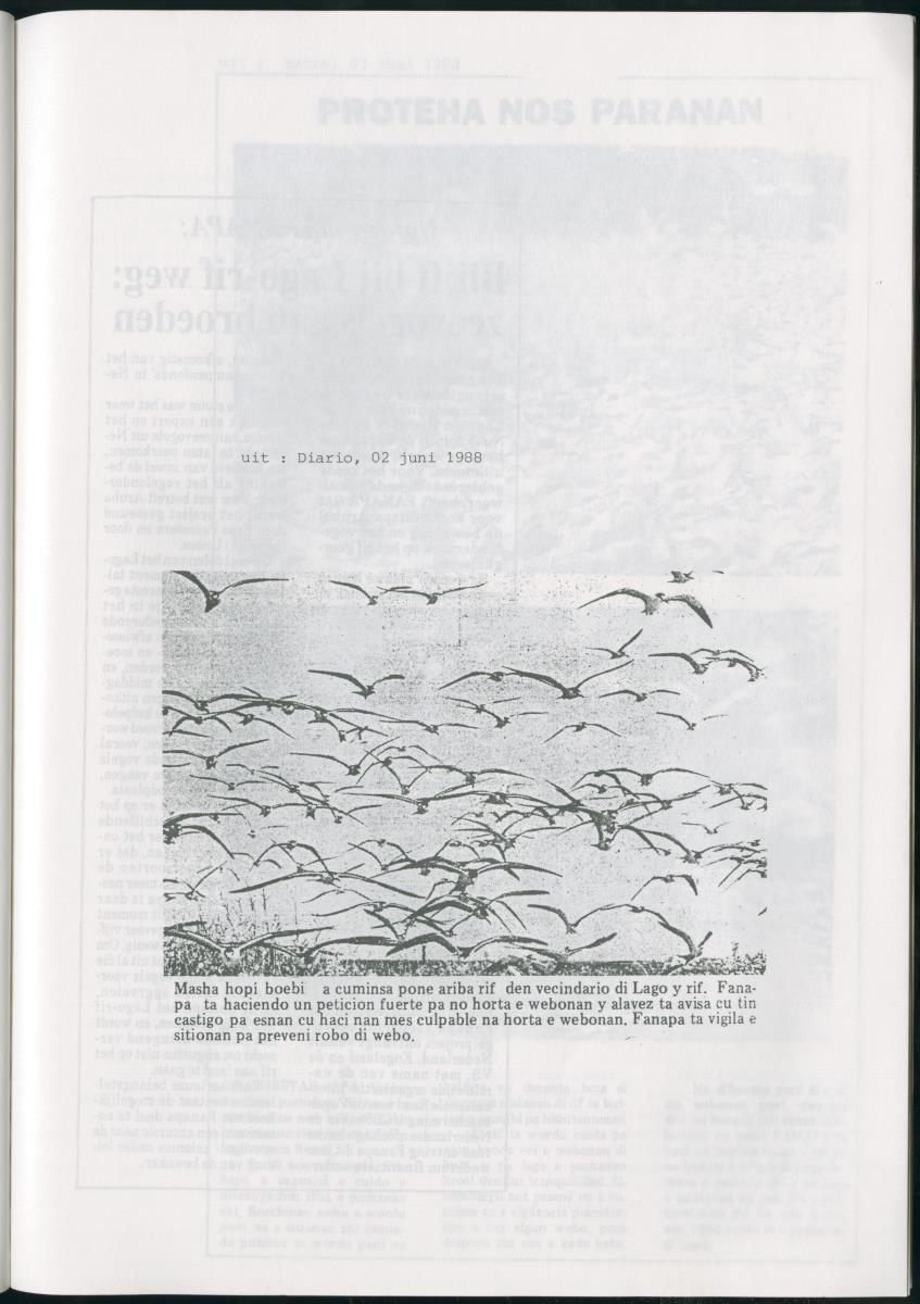 z Bescherming van zeevogels op het Lago-rif, Aruba, in 1988 - New Page