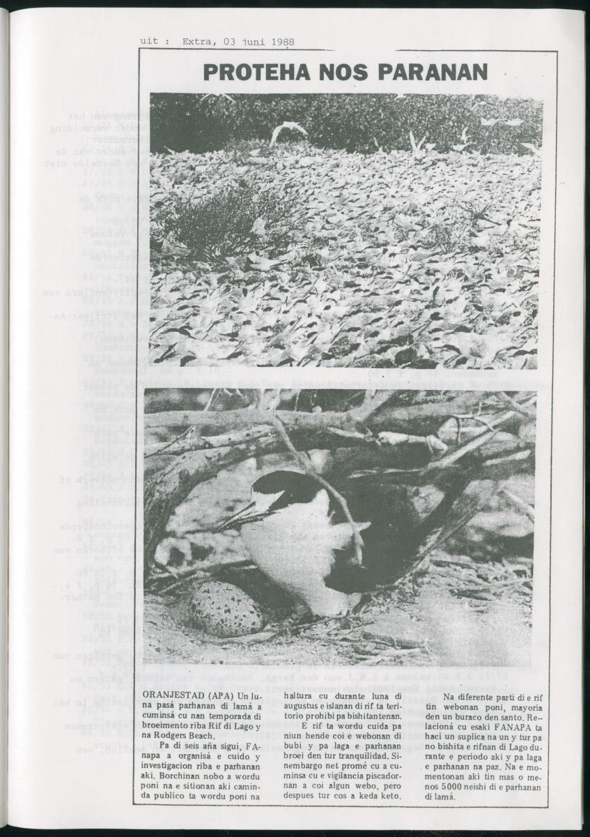 z Bescherming van zeevogels op het Lago-rif, Aruba, in 1988 - New Page