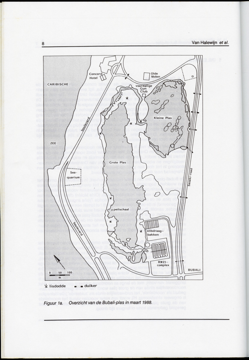 z Ecologisch onderzoek Bubali-plas - New Page