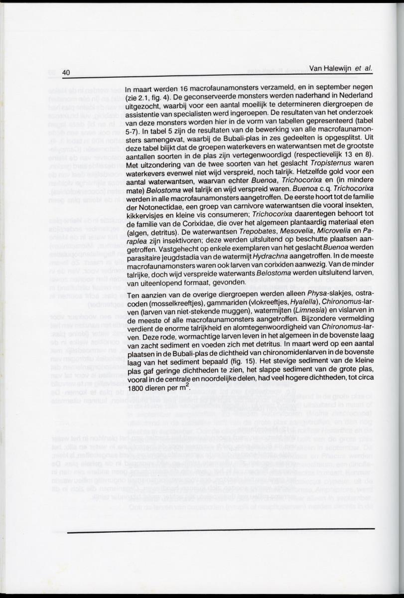 z Ecologisch onderzoek Bubali-plas - New Page