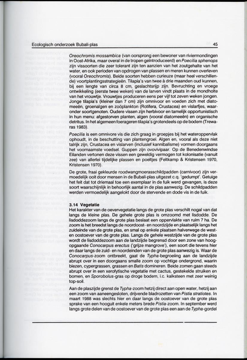 z Ecologisch onderzoek Bubali-plas - New Page