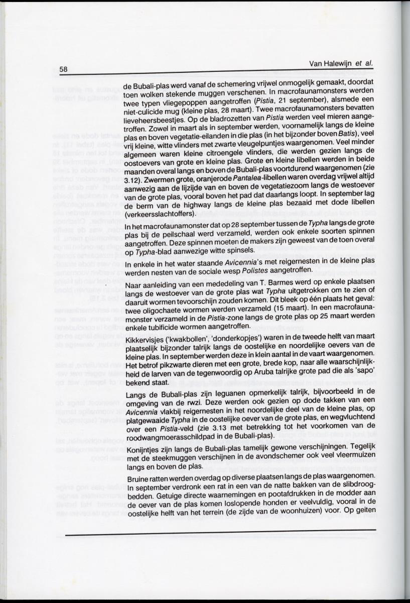 z Ecologisch onderzoek Bubali-plas - New Page