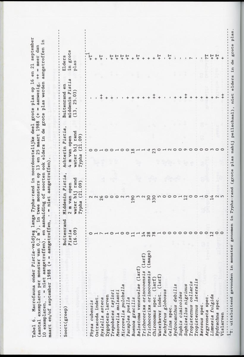 z Ecologisch onderzoek Bubali-plas - New Page