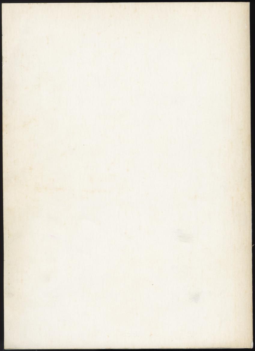 z Ecologisch onderzoek Bubali-plas - New Page