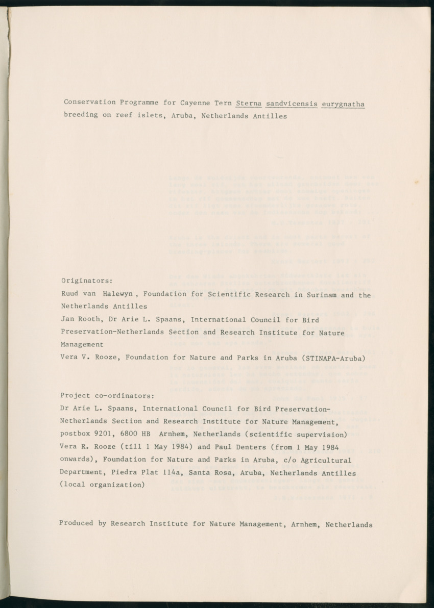 Z Report on 1984 survey of marine birds of Aruba, Netherlands Antilles - New Page