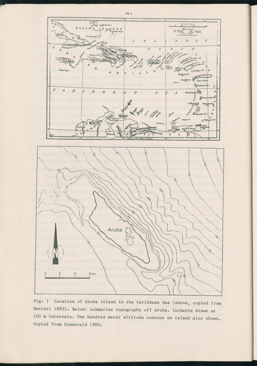 Z Report on 1984 survey of marine birds of Aruba, Netherlands Antilles - New Page