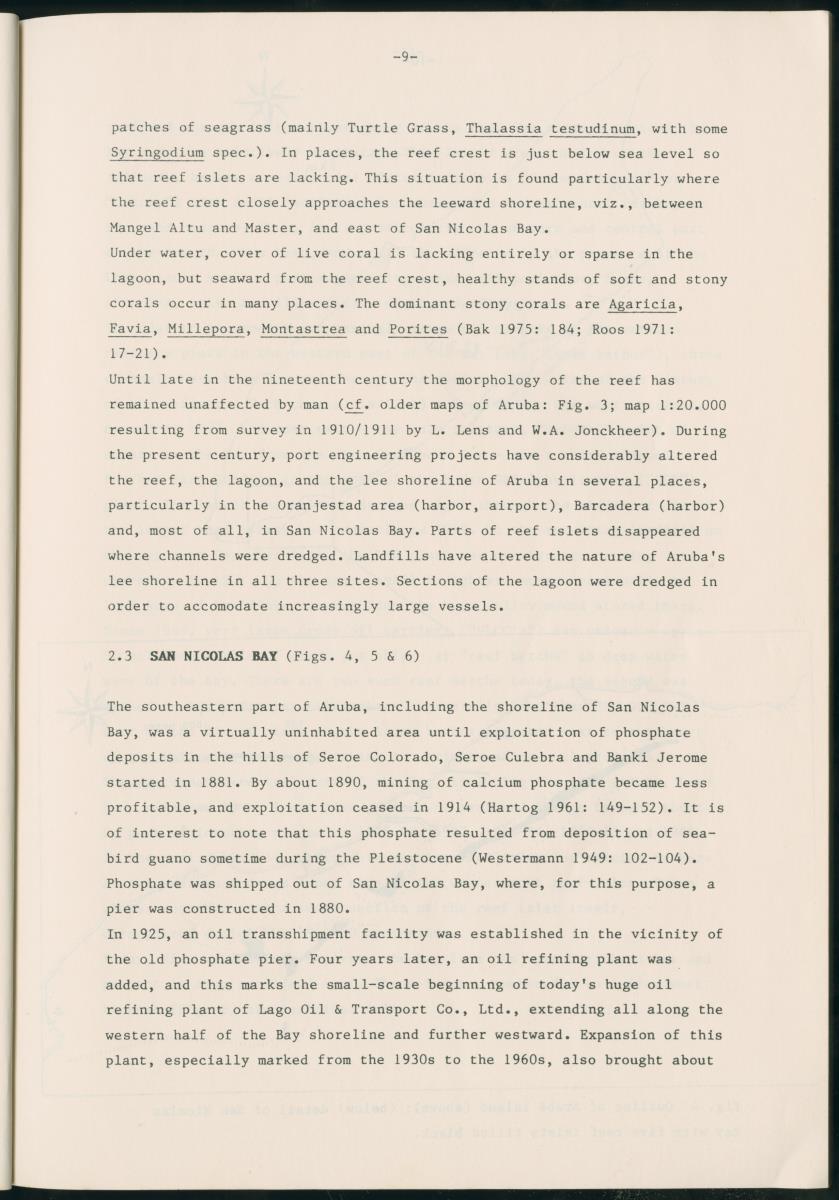 Z Report on 1984 survey of marine birds of Aruba, Netherlands Antilles - New Page