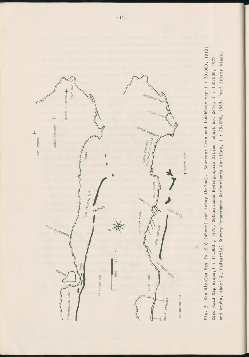 Z Report on 1984 survey of marine birds of Aruba, Netherlands Antilles - New Page