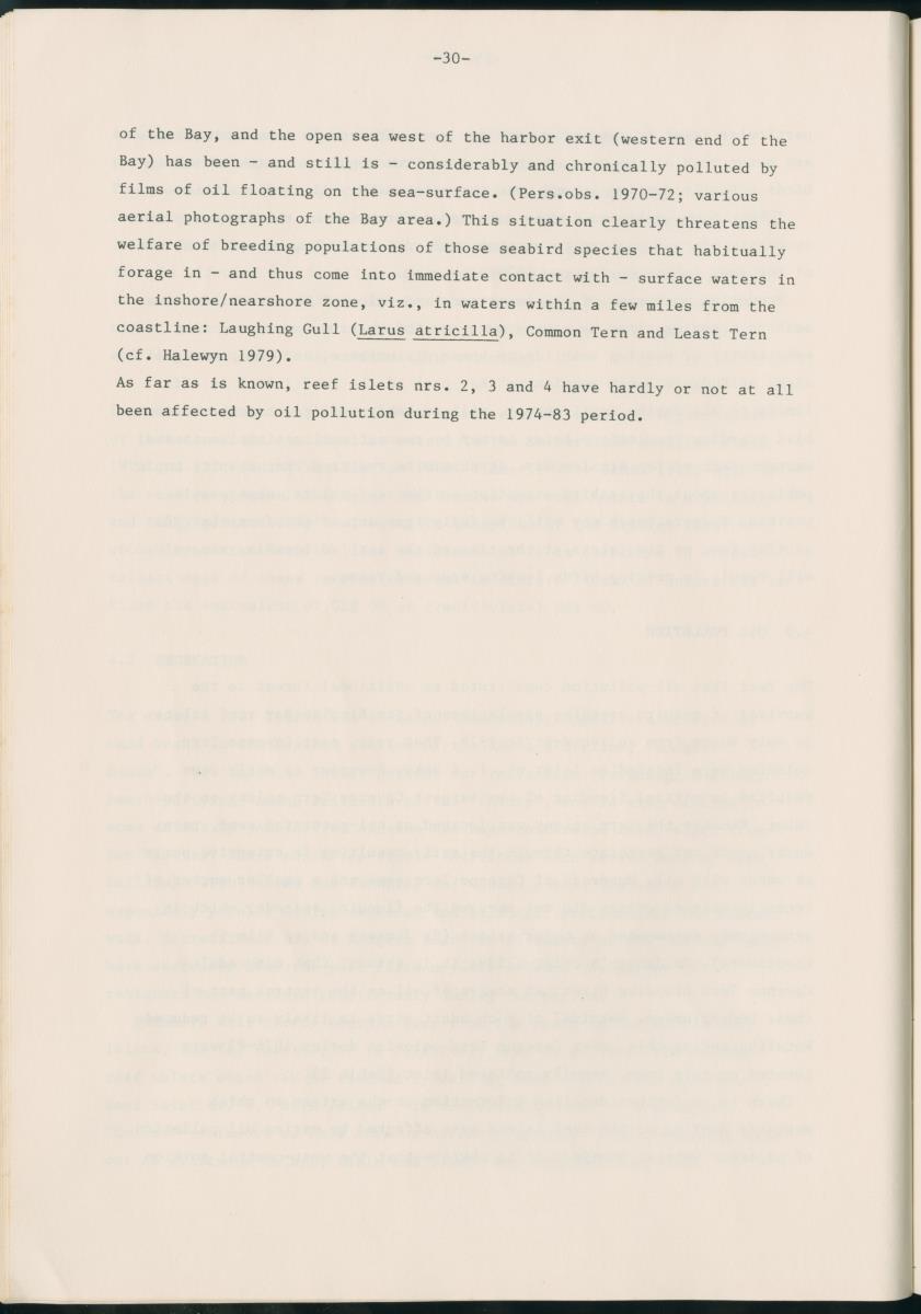 Z Report on 1984 survey of marine birds of Aruba, Netherlands Antilles - New Page