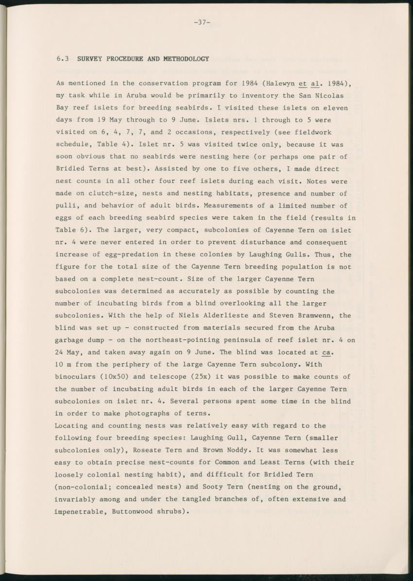 Z Report on 1984 survey of marine birds of Aruba, Netherlands Antilles - New Page