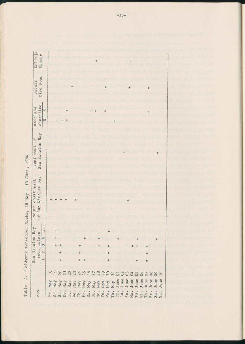 Z Report on 1984 survey of marine birds of Aruba, Netherlands Antilles - New Page