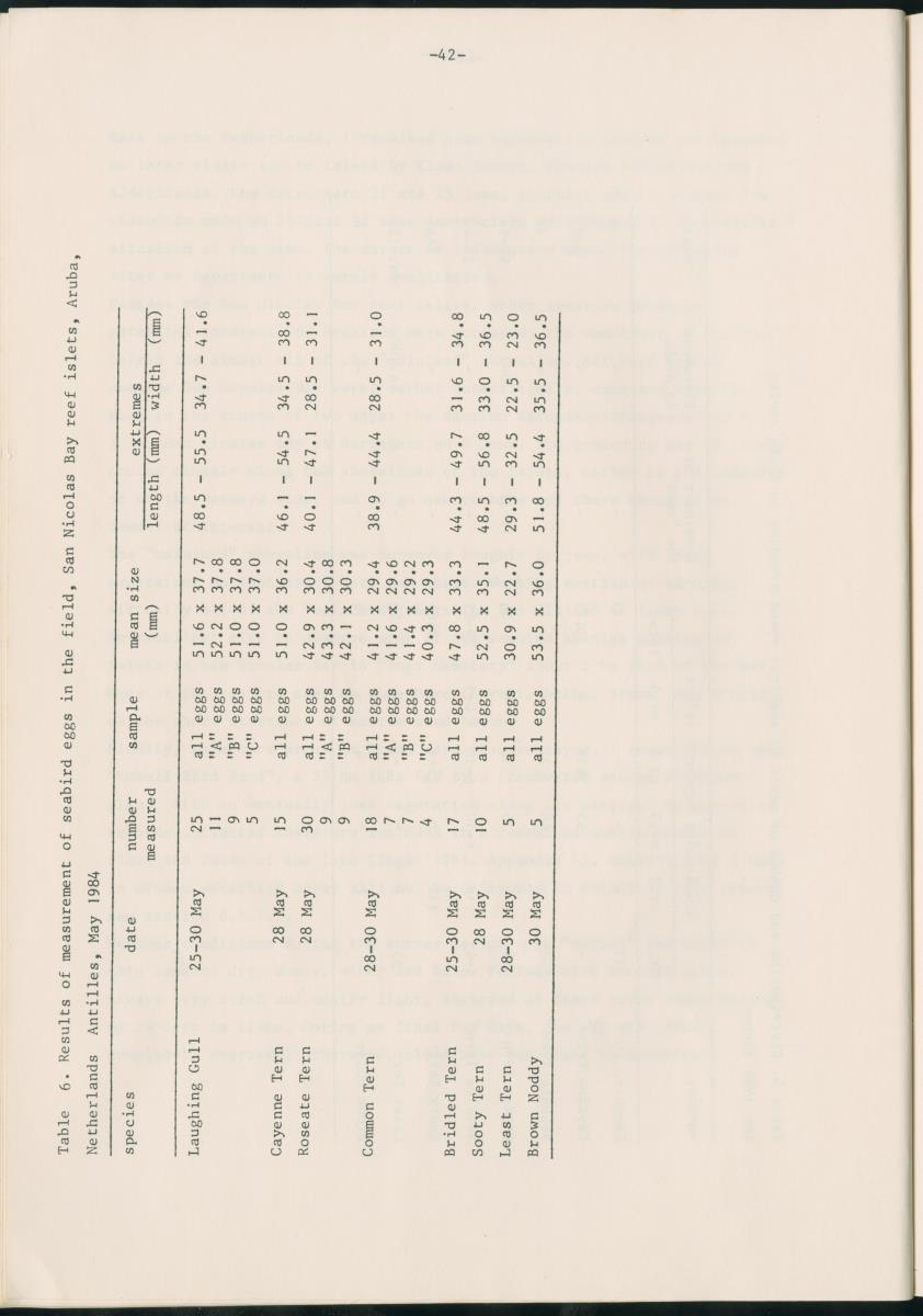 Z Report on 1984 survey of marine birds of Aruba, Netherlands Antilles - New Page
