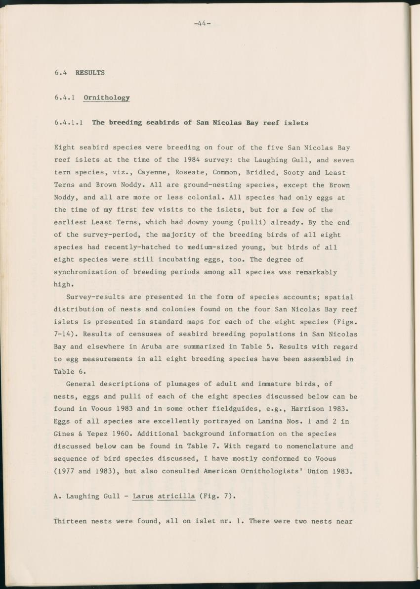 Z Report on 1984 survey of marine birds of Aruba, Netherlands Antilles - New Page