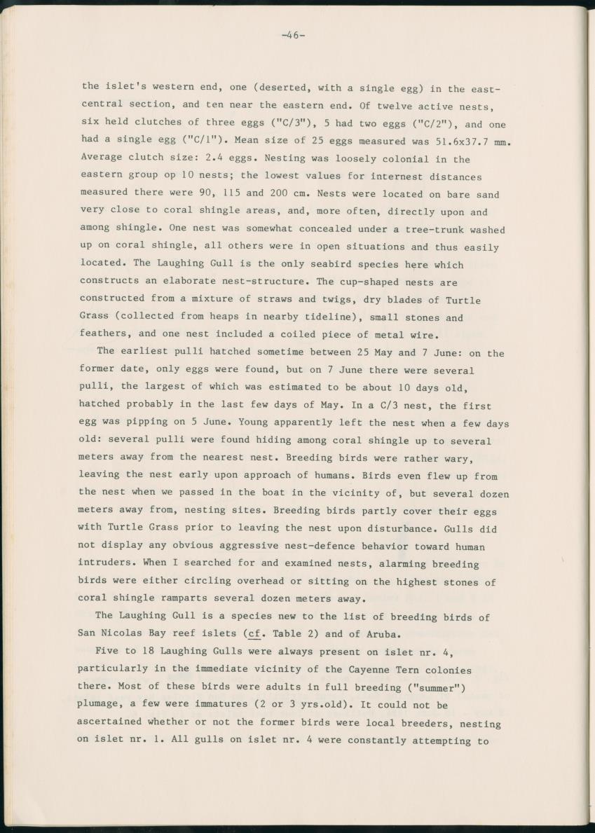 Z Report on 1984 survey of marine birds of Aruba, Netherlands Antilles - New Page