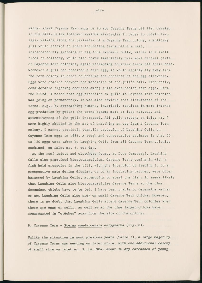 Z Report on 1984 survey of marine birds of Aruba, Netherlands Antilles - New Page