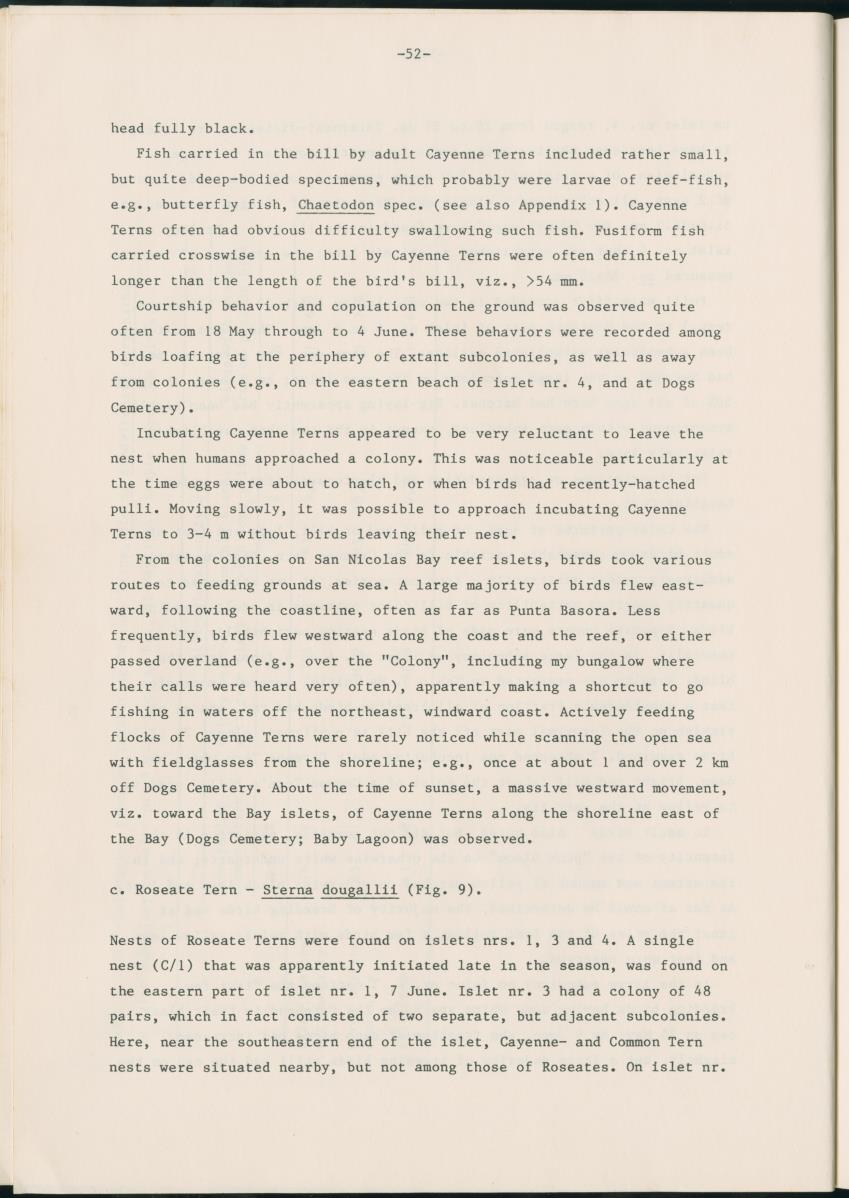 Z Report on 1984 survey of marine birds of Aruba, Netherlands Antilles - New Page