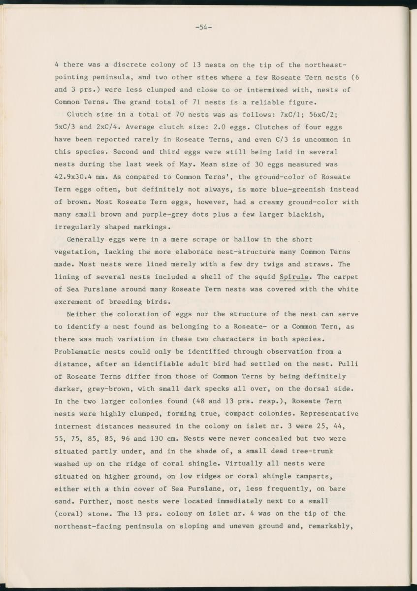 Z Report on 1984 survey of marine birds of Aruba, Netherlands Antilles - New Page