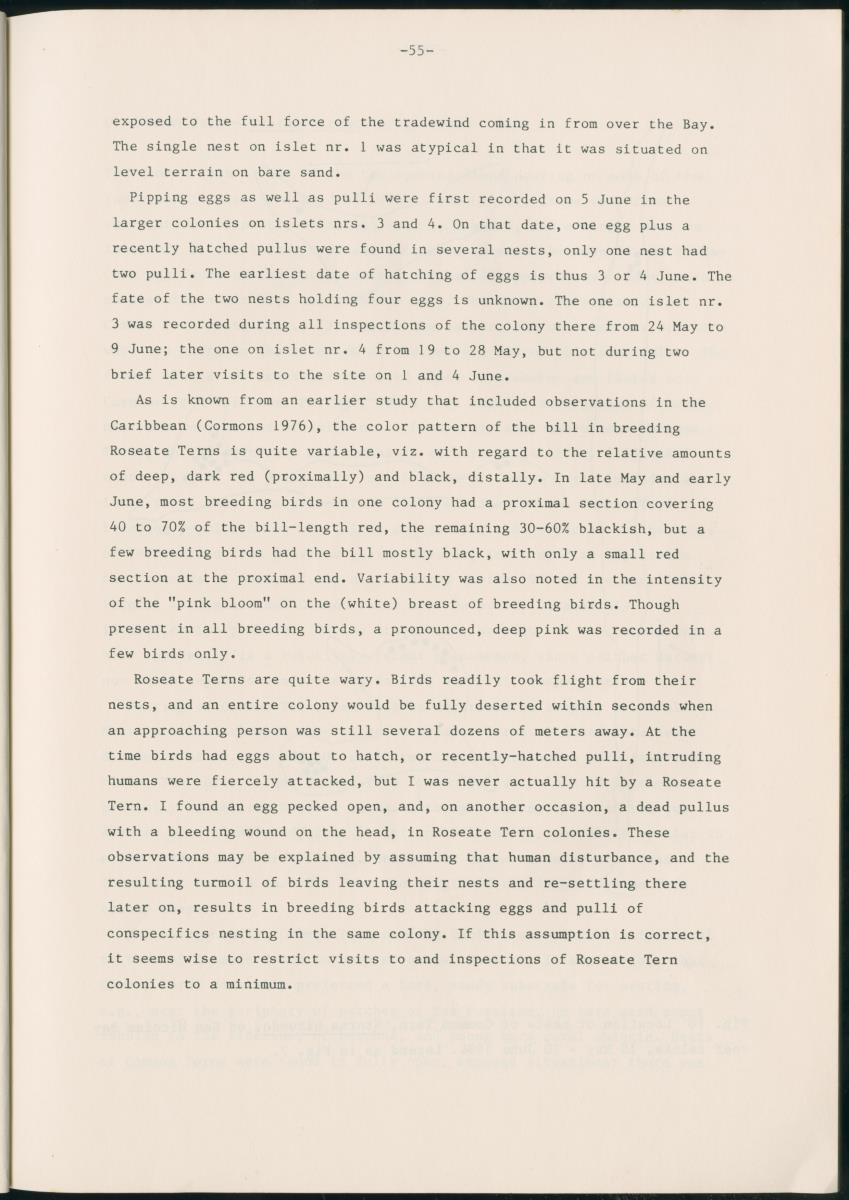 Z Report on 1984 survey of marine birds of Aruba, Netherlands Antilles - New Page