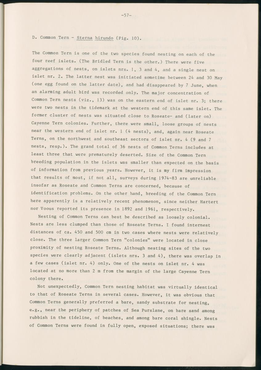 Z Report on 1984 survey of marine birds of Aruba, Netherlands Antilles - New Page