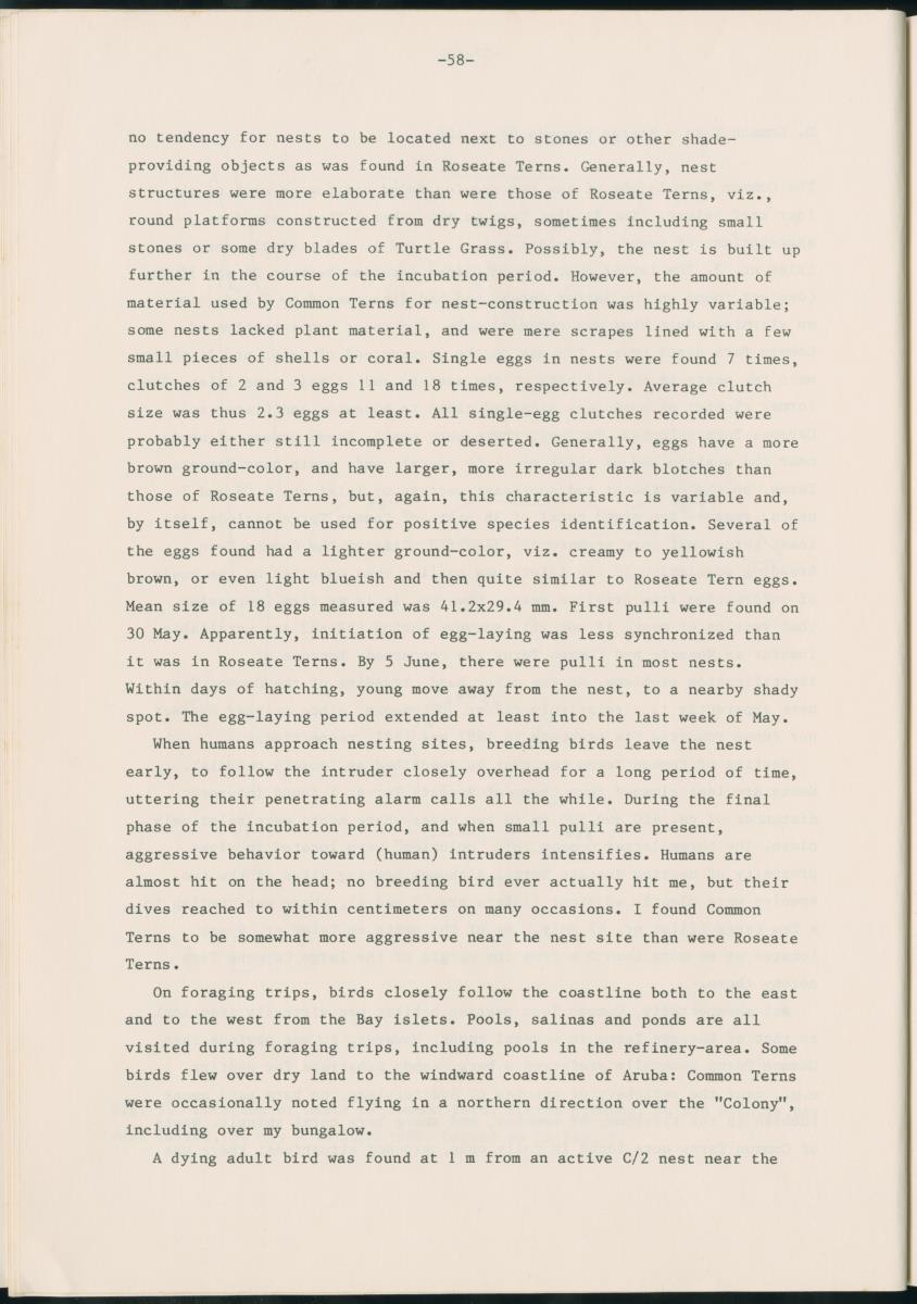 Z Report on 1984 survey of marine birds of Aruba, Netherlands Antilles - New Page