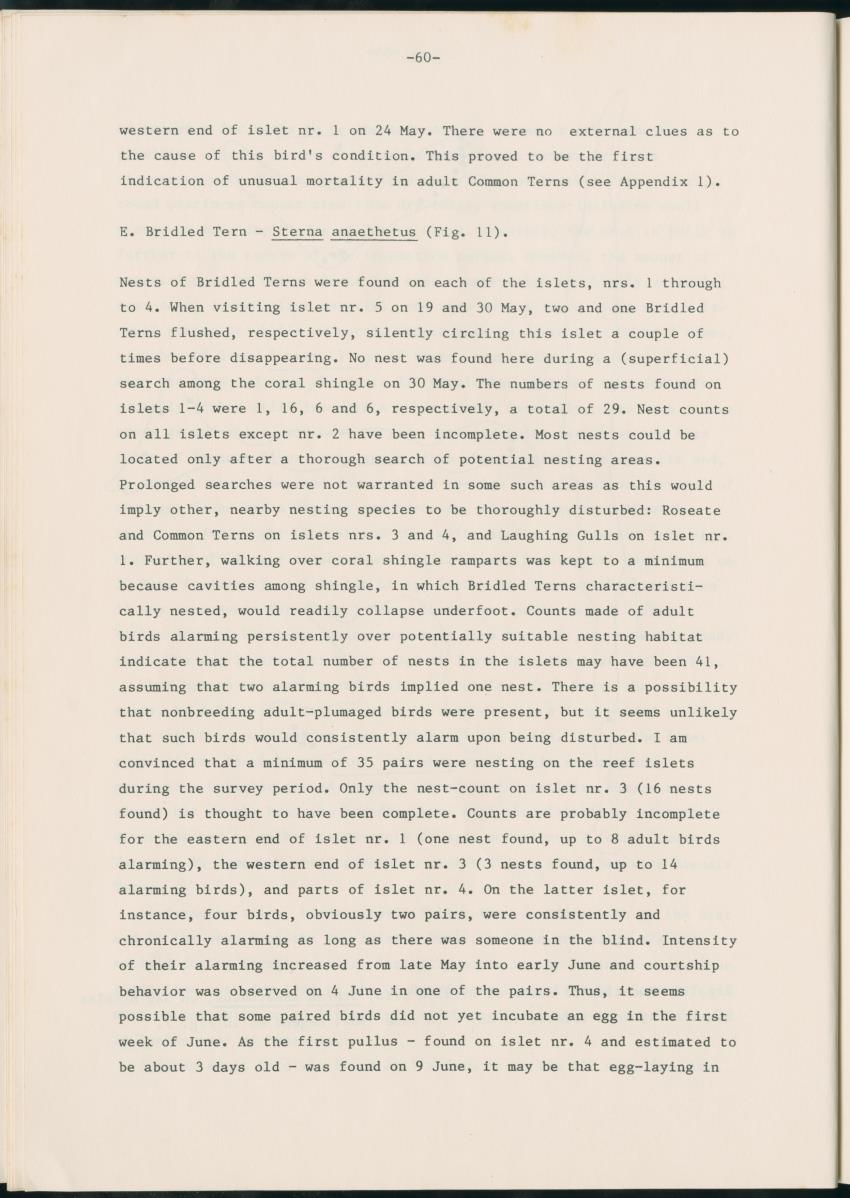 Z Report on 1984 survey of marine birds of Aruba, Netherlands Antilles - New Page