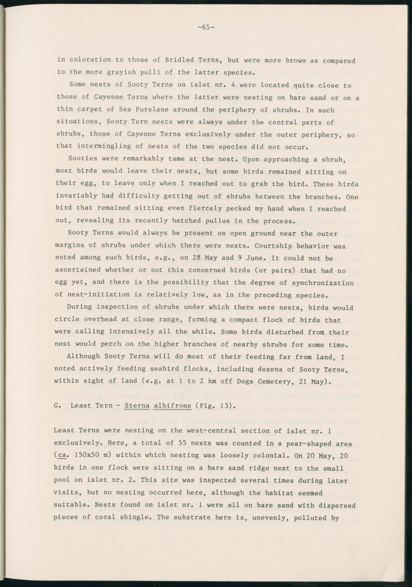 Z Report on 1984 survey of marine birds of Aruba, Netherlands Antilles - New Page