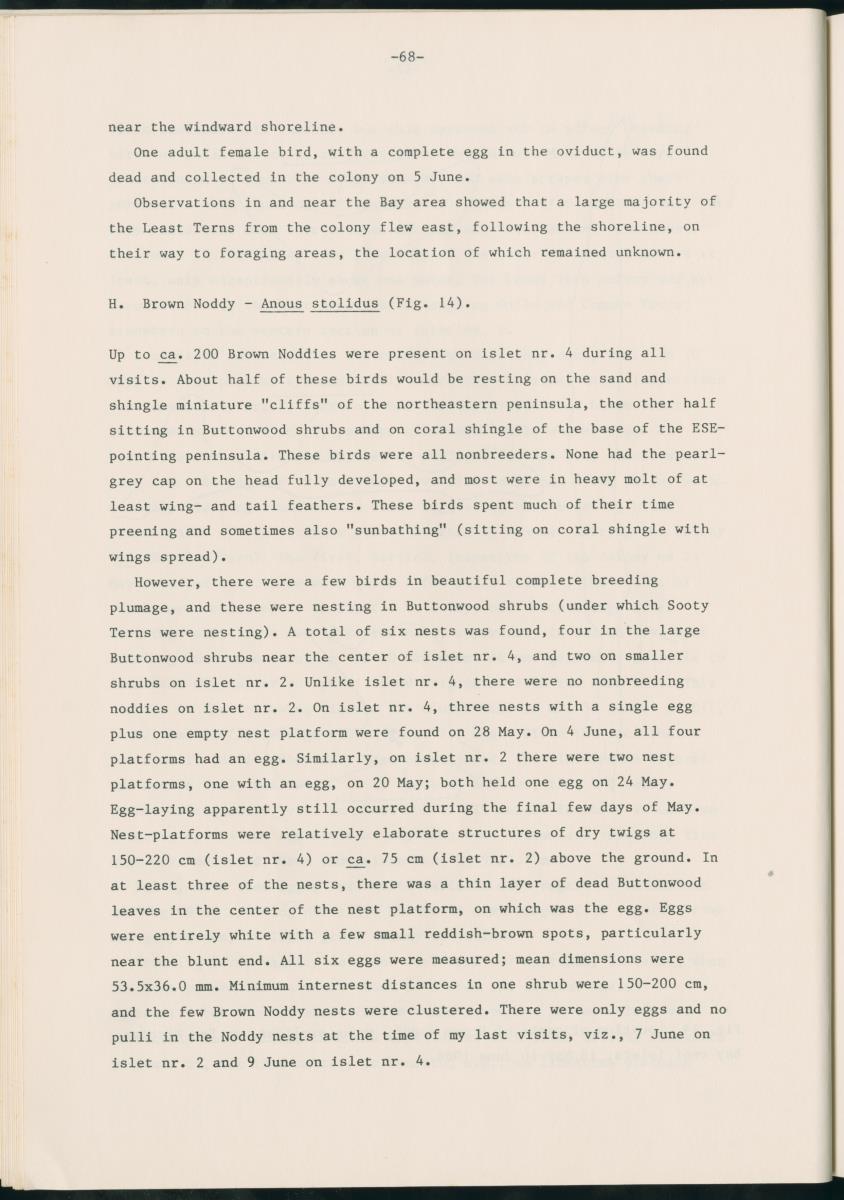 Z Report on 1984 survey of marine birds of Aruba, Netherlands Antilles - New Page