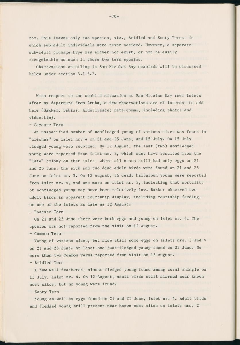 Z Report on 1984 survey of marine birds of Aruba, Netherlands Antilles - New Page