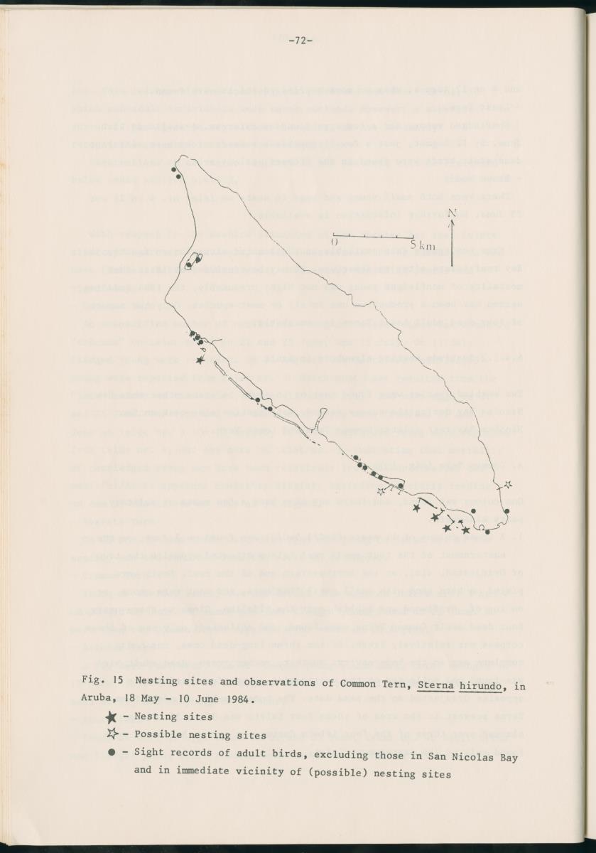 Z Report on 1984 survey of marine birds of Aruba, Netherlands Antilles - New Page