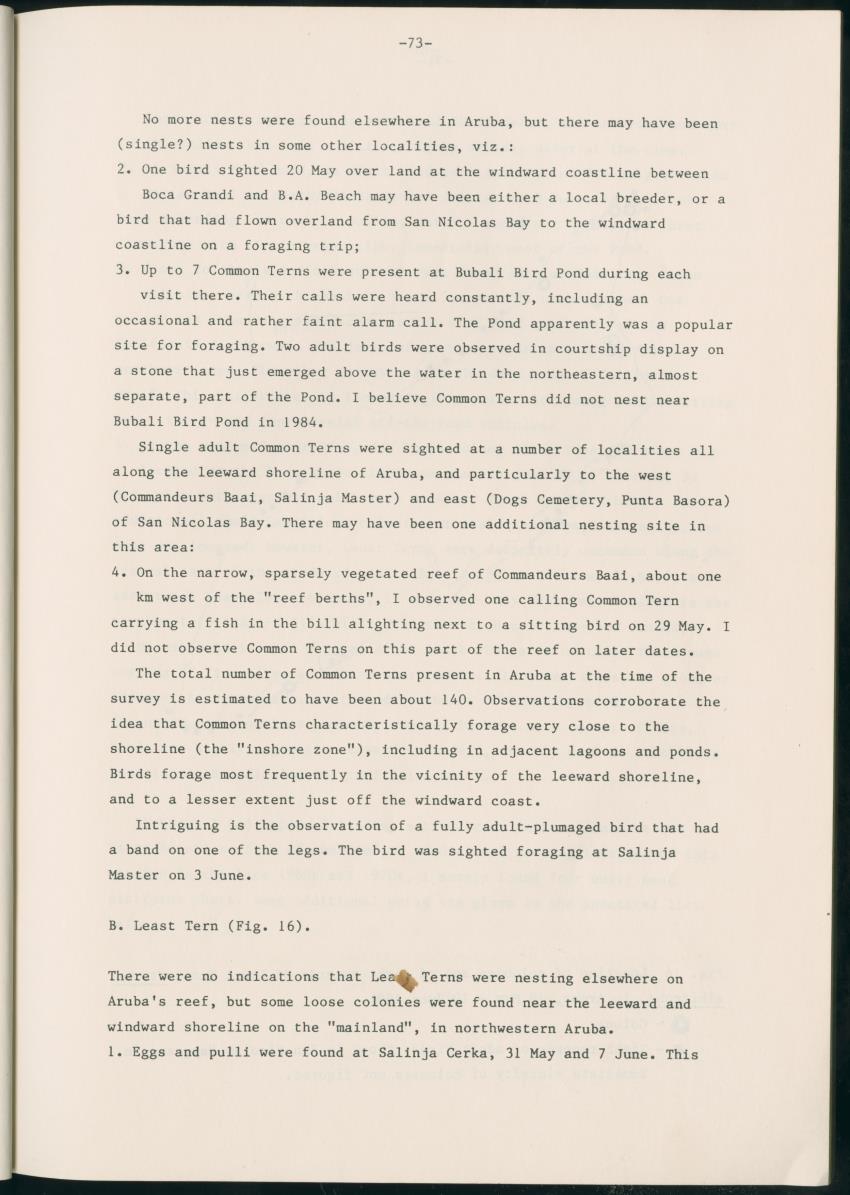 Z Report on 1984 survey of marine birds of Aruba, Netherlands Antilles - New Page