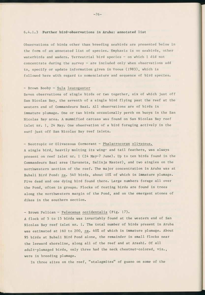 Z Report on 1984 survey of marine birds of Aruba, Netherlands Antilles - New Page