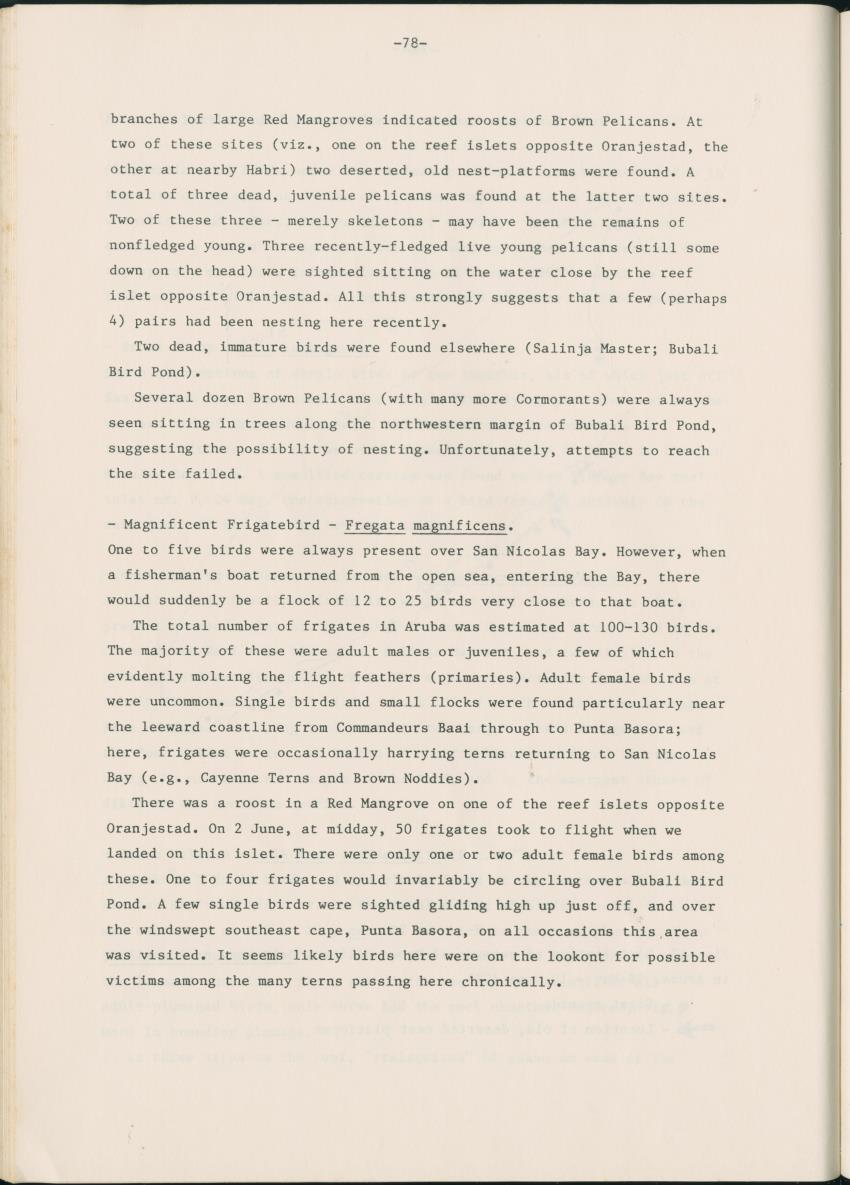 Z Report on 1984 survey of marine birds of Aruba, Netherlands Antilles - New Page