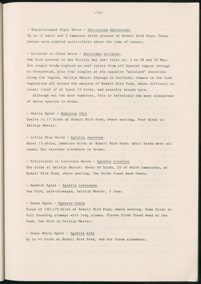 Z Report on 1984 survey of marine birds of Aruba, Netherlands Antilles - New Page