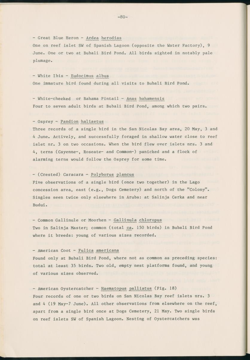 Z Report on 1984 survey of marine birds of Aruba, Netherlands Antilles - New Page