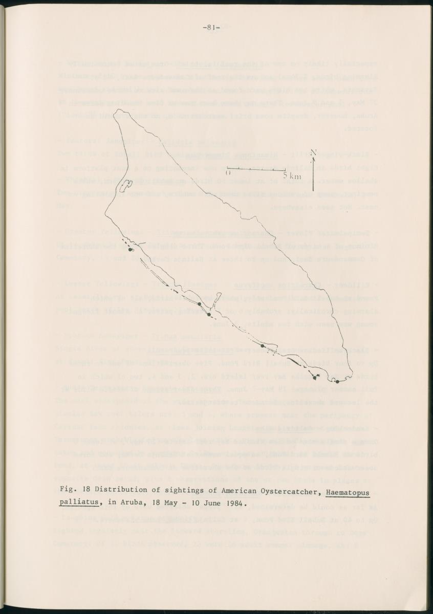 Z Report on 1984 survey of marine birds of Aruba, Netherlands Antilles - New Page