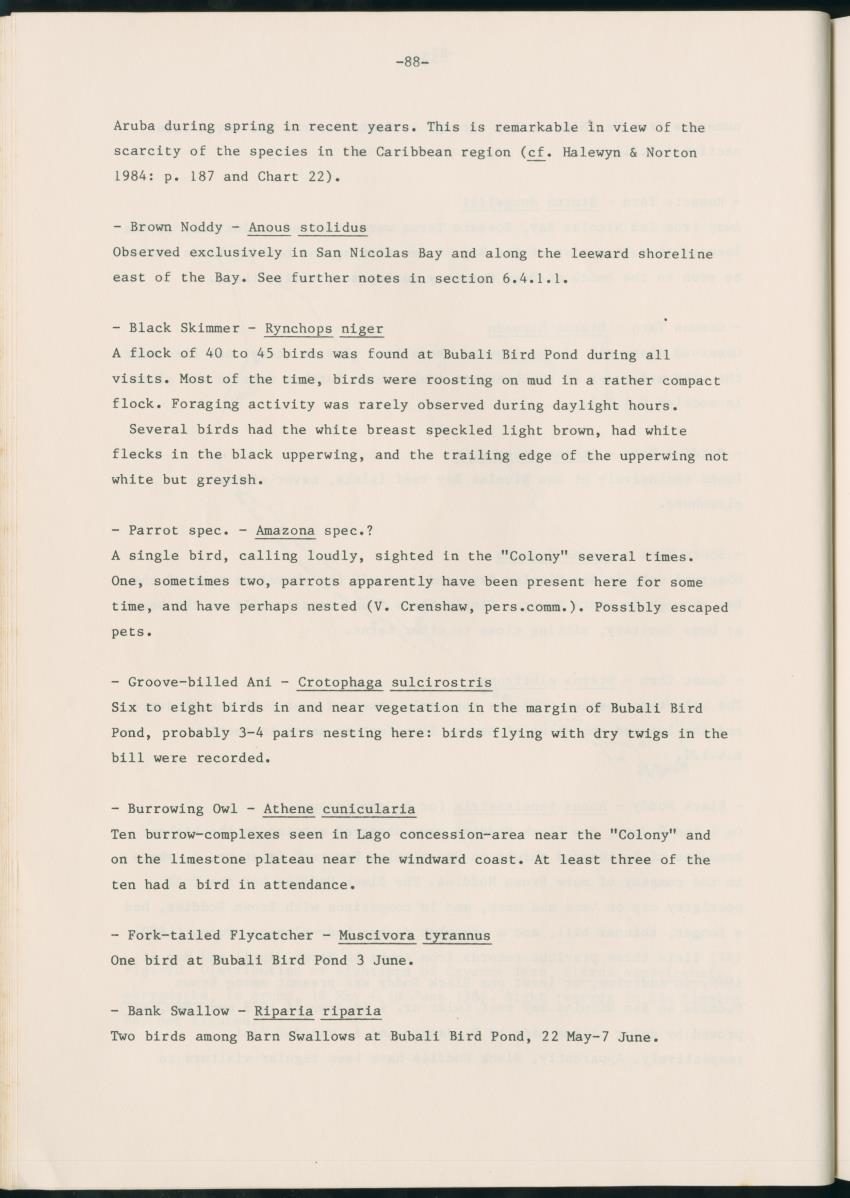 Z Report on 1984 survey of marine birds of Aruba, Netherlands Antilles - New Page