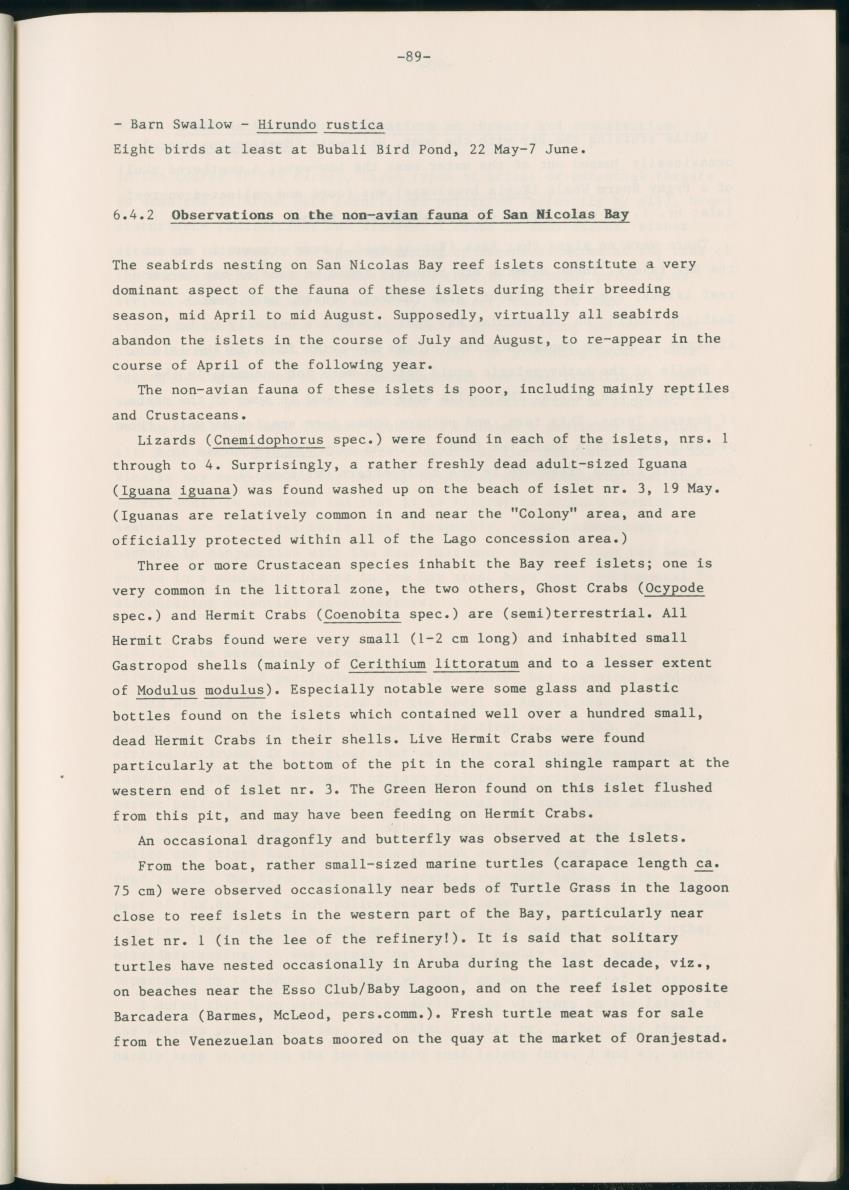 Z Report on 1984 survey of marine birds of Aruba, Netherlands Antilles - New Page