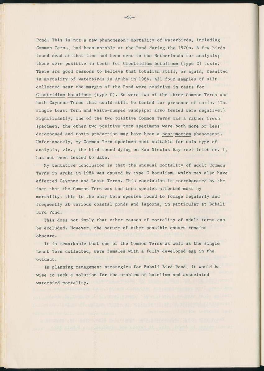 Z Report on 1984 survey of marine birds of Aruba, Netherlands Antilles - New Page