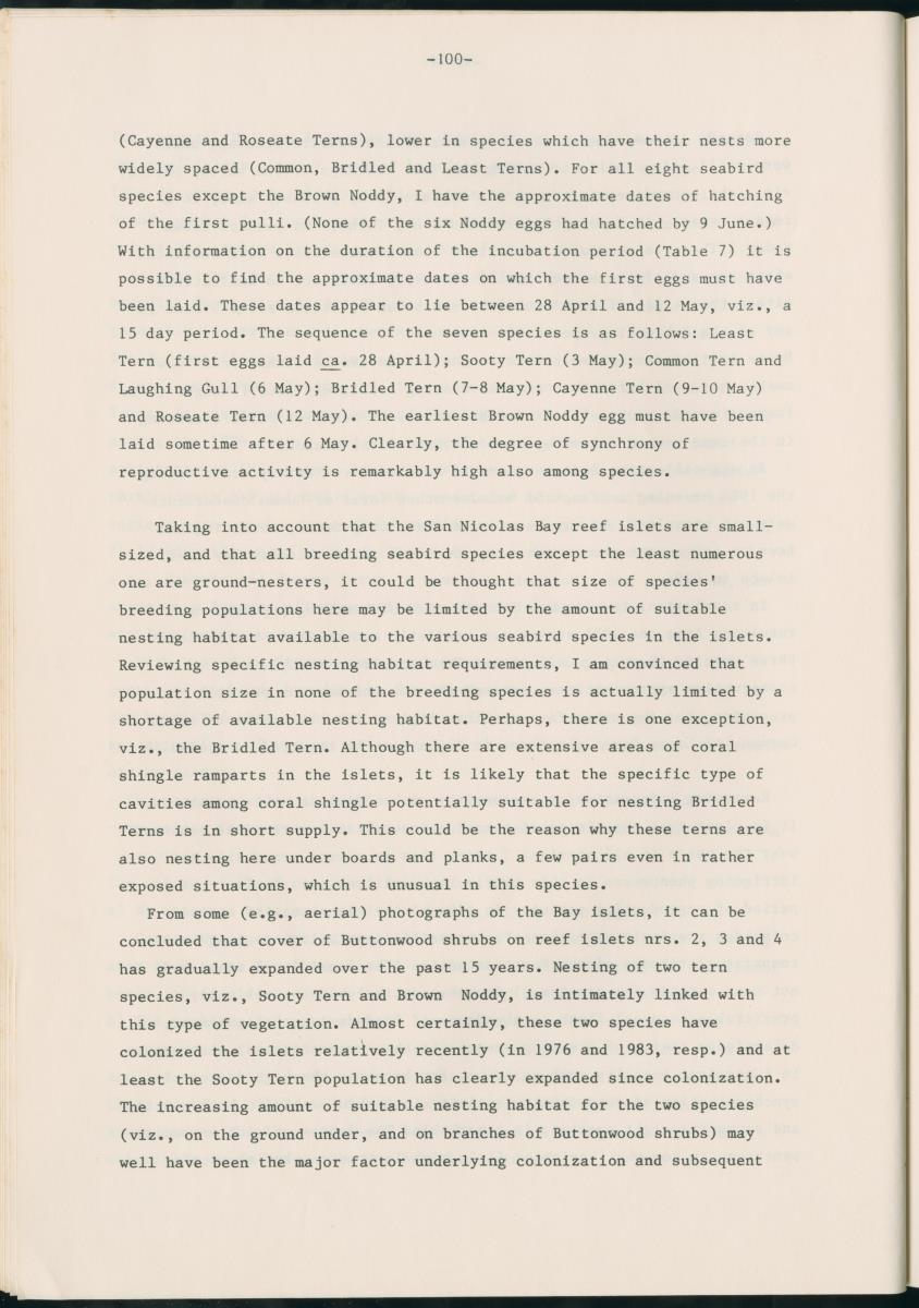 Z Report on 1984 survey of marine birds of Aruba, Netherlands Antilles - New Page