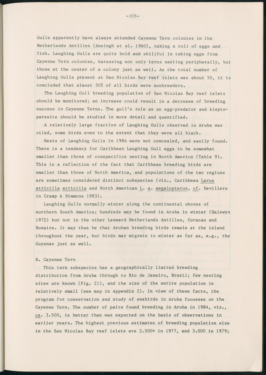 Z Report on 1984 survey of marine birds of Aruba, Netherlands Antilles - New Page