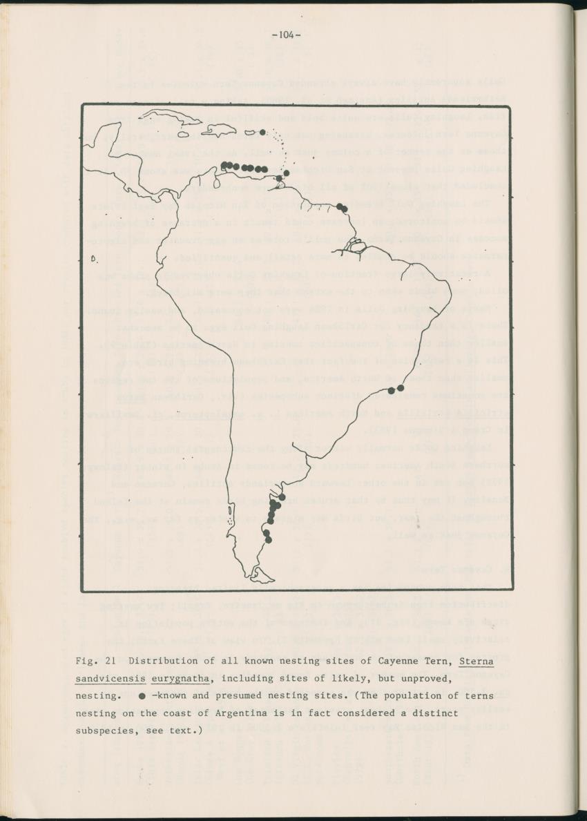 Z Report on 1984 survey of marine birds of Aruba, Netherlands Antilles - New Page