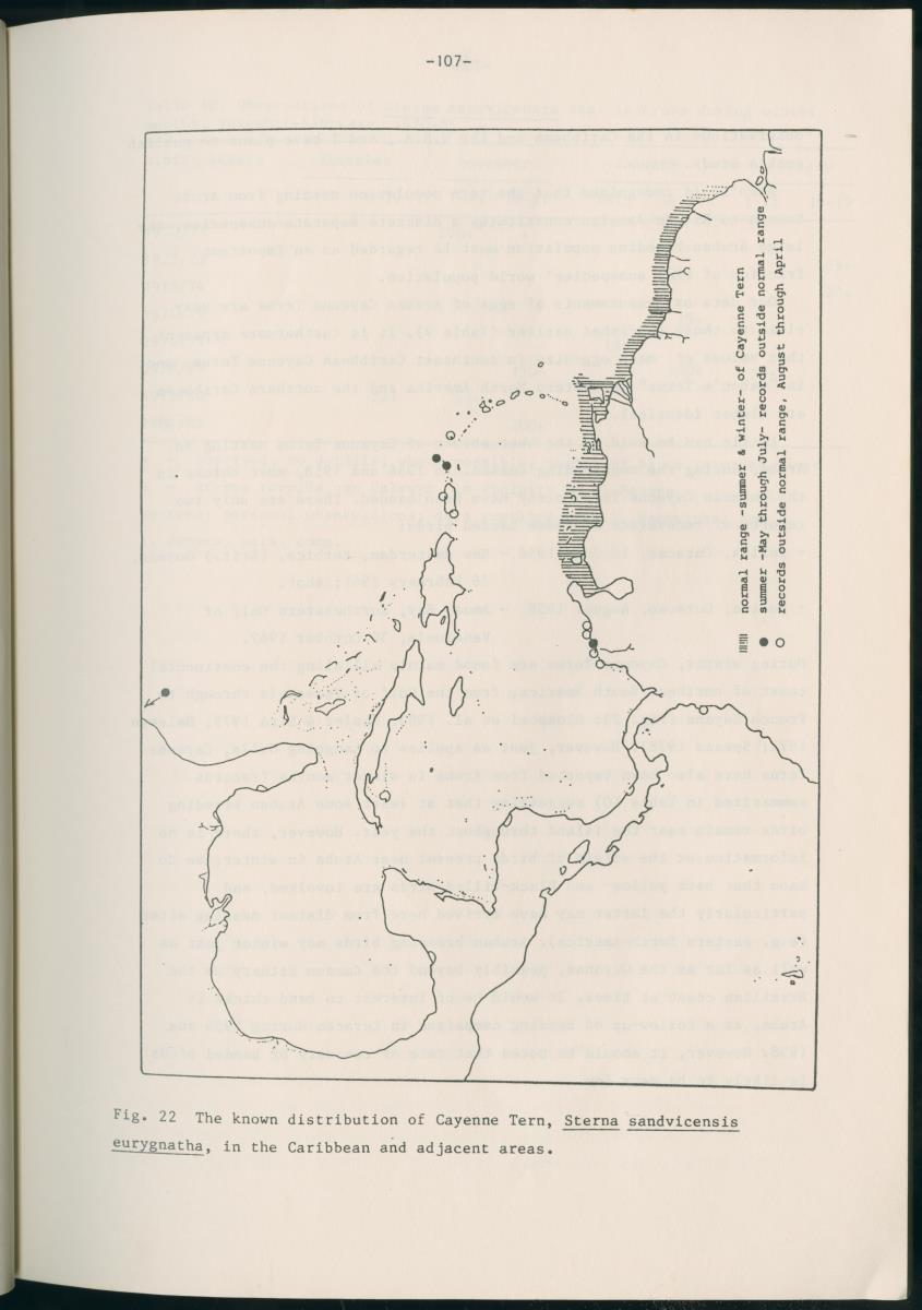 Z Report on 1984 survey of marine birds of Aruba, Netherlands Antilles - New Page