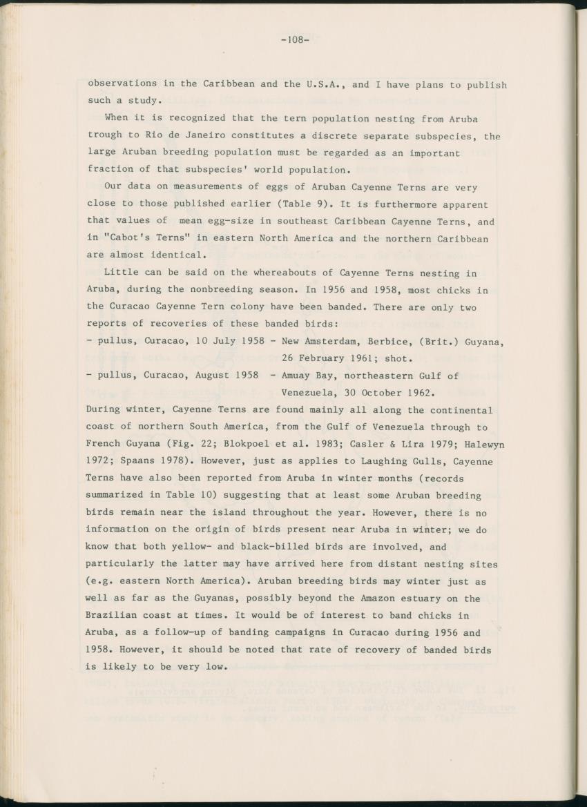 Z Report on 1984 survey of marine birds of Aruba, Netherlands Antilles - New Page